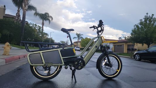 Cargo Electric Bikes: Navigating the Regulatory Landscape in the United States