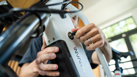 Cargo Electric Bicycles: A Green Revolution