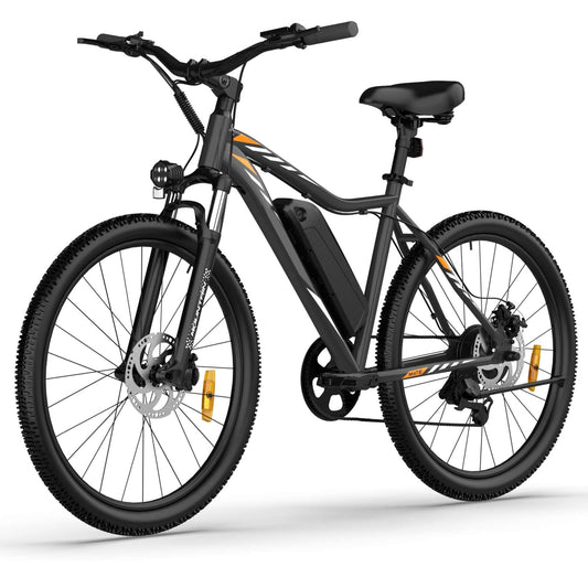 EB17 Mate Electric Bike