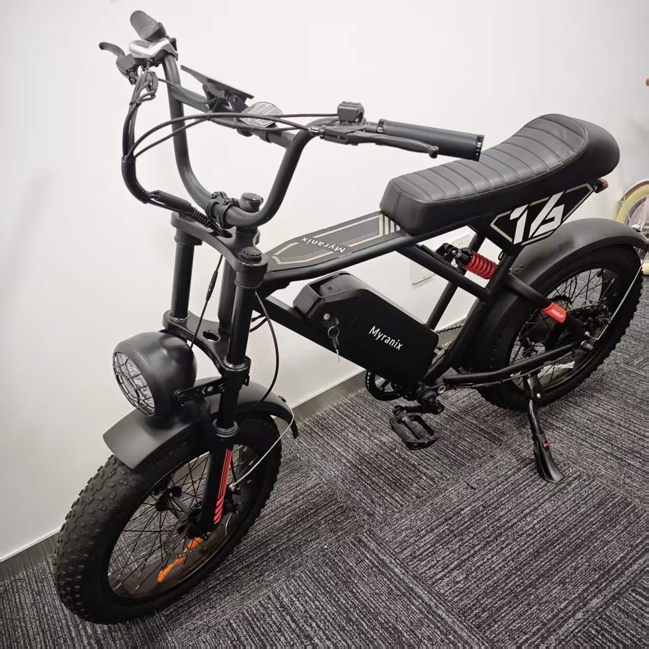 Myranix ebike