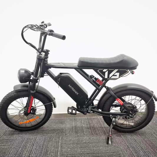 Myranix electric bike
