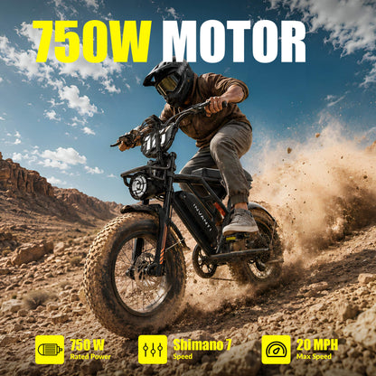 5TH WHEEL NITROX 750W Retro Electric Bike
